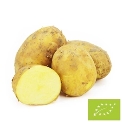 Ziemniaki żółte świeże Bio (Polska) (około 1,00 kg)